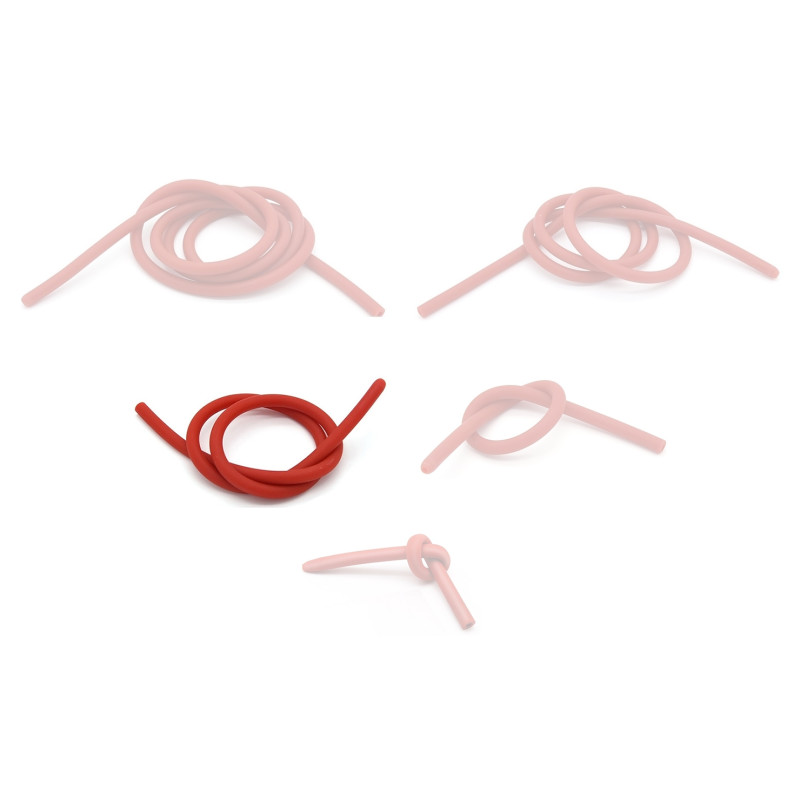 BDSMaster Tuyau flexible pour Seringues Pipe Flex L 100cm